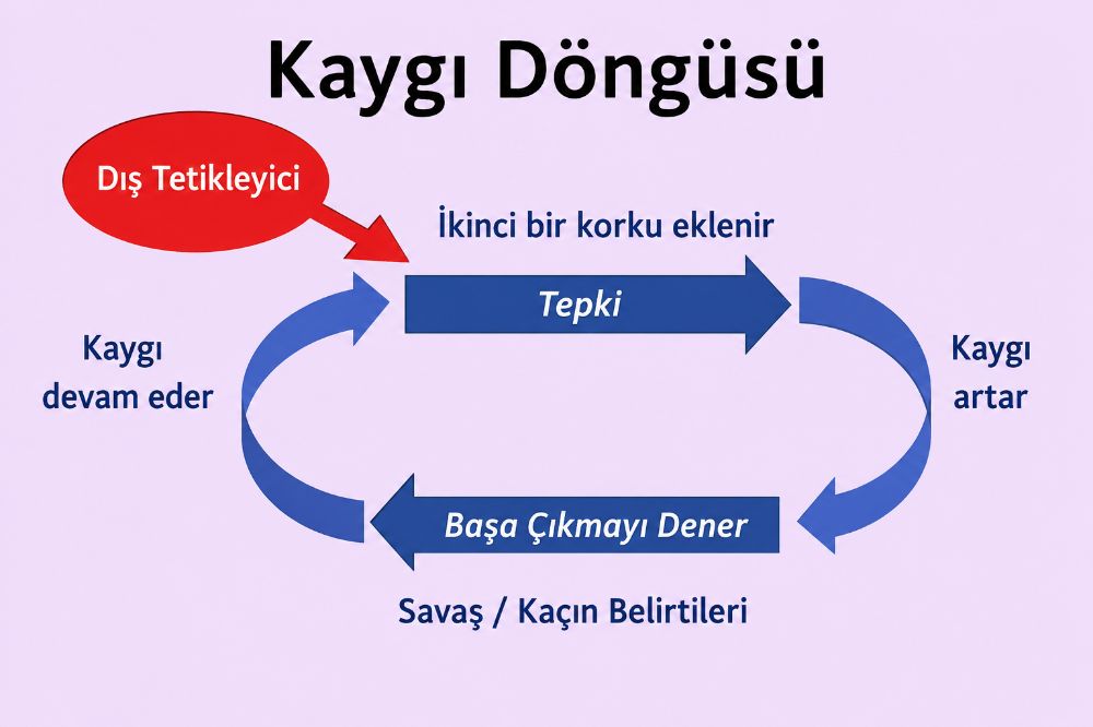 Anksiyete Döngüsü